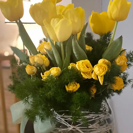 Piso A Estrenar Entrada Autonoma Garage Wifi 4 Personas * Vigo